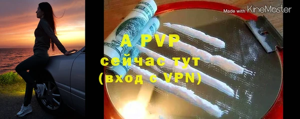 сатива Арсеньев
