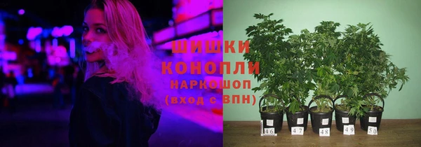 сатива Арсеньев