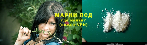 сатива Арсеньев