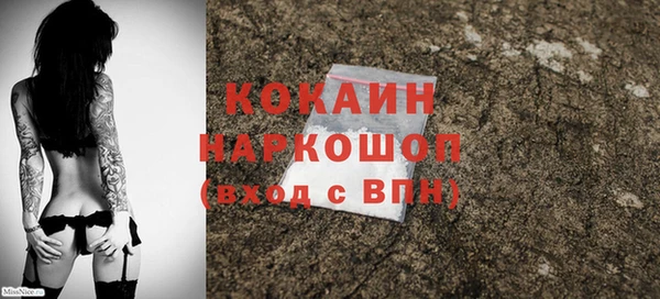 сатива Арсеньев
