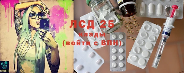 эйфоретик Аркадак