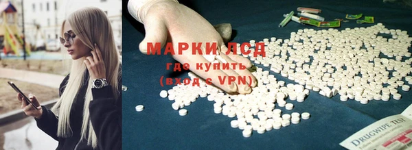 эйфоретик Аркадак