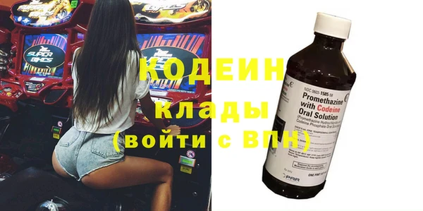 сатива Арсеньев