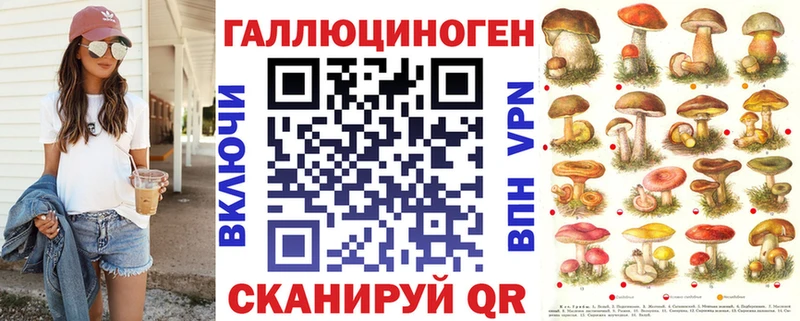 купить наркотики сайты  Шлиссельбург  Галлюциногенные грибы Psilocybe 