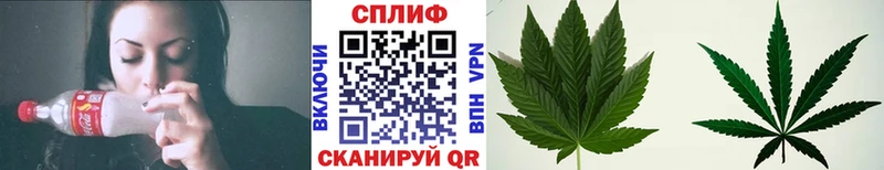 Шишки марихуана планчик  наркотики  Шлиссельбург 